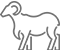 bighorn sheep icon