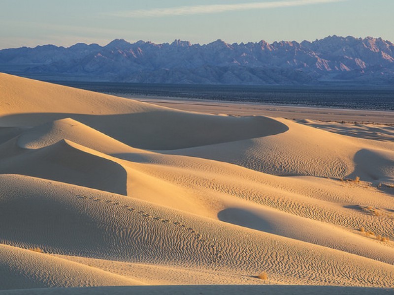Mojave Desert sand dunes